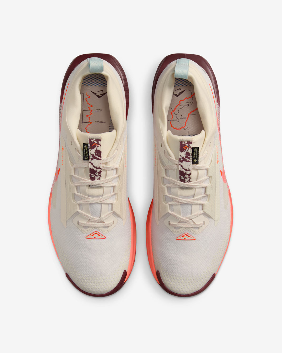 Nike Pegasus Trail 5 GTX